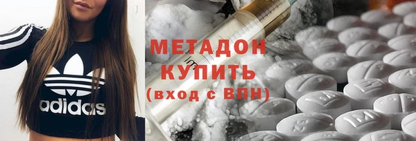 индика Карпинск
