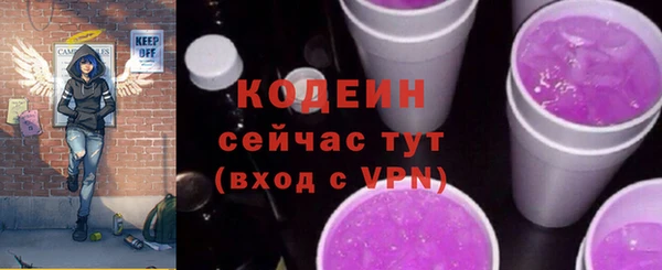 соль ск Каменногорск