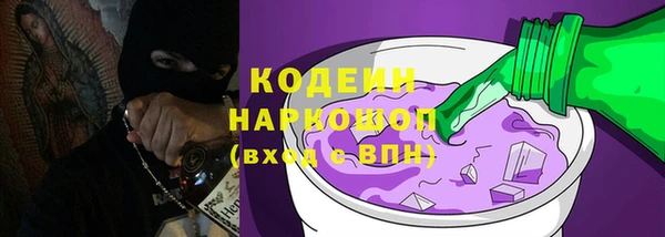 соль ск Каменногорск