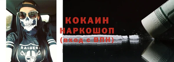соль ск Каменногорск