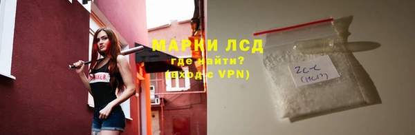 соль ск Каменногорск