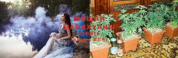 индика Карпинск