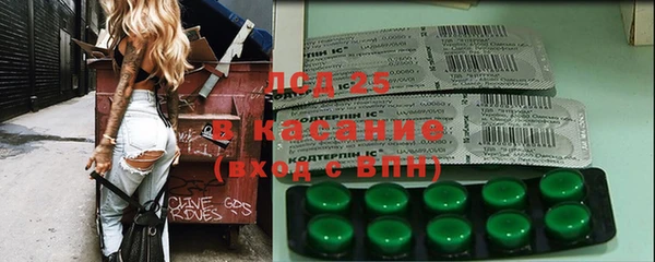соль ск Каменногорск
