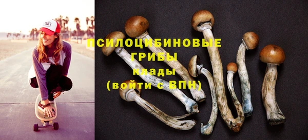 jwh Каменск-Шахтинский