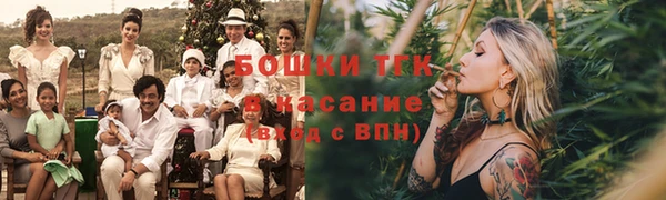 соль ск Каменногорск