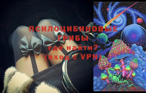 соль ск Каменногорск