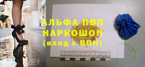 соль ск Каменногорск