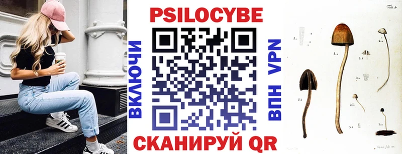 Галлюциногенные грибы Psilocybe  Купить где  Тимашёвск 